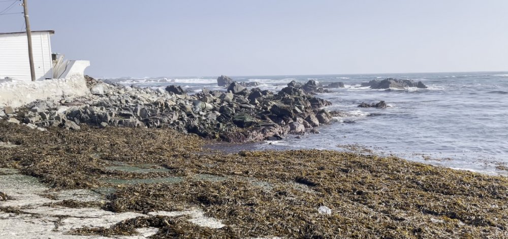 Rubén Rojo, Director Centro Científico Tecnológico de la Región de Antofagasta “Mirar el mar no implica que si nos consumimos toda el agua de la cuenca vayamos a depredar el borde costero”