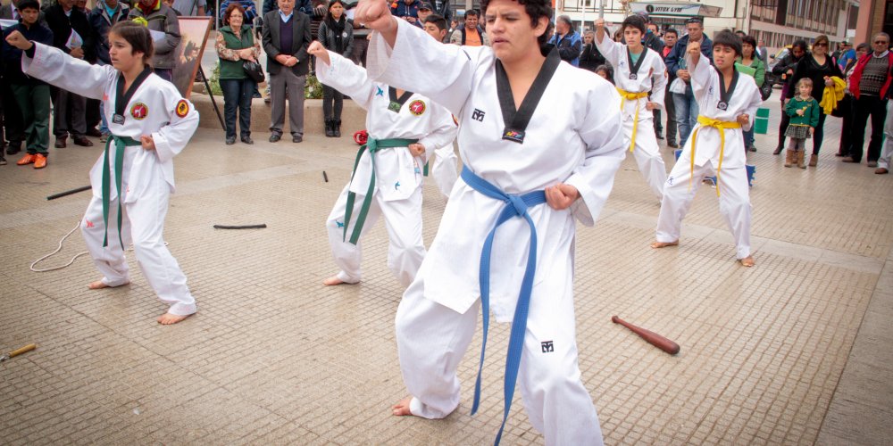 Hasta el lunes 27 de abril extienden plazo para postular a Fondos Concursables