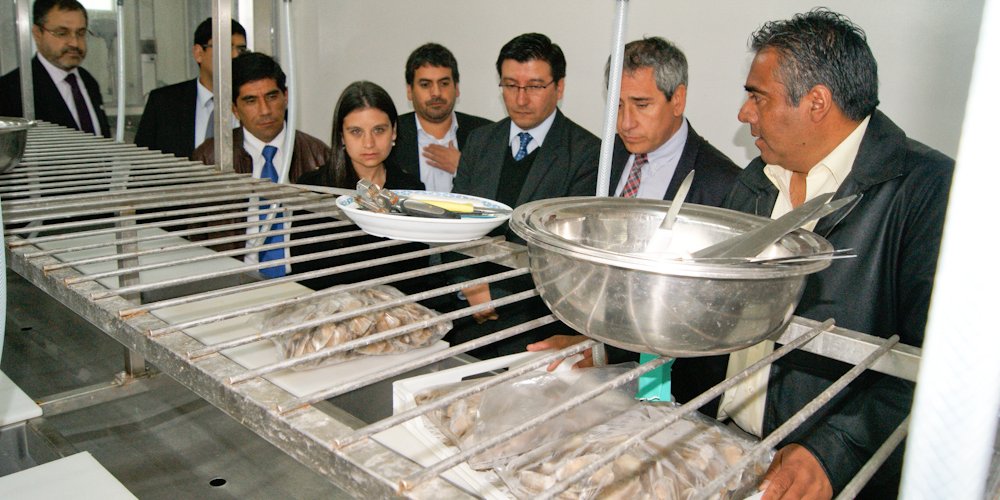 Lanzan programa que busca fortalecer a la región como fuente de bioproductos marinos