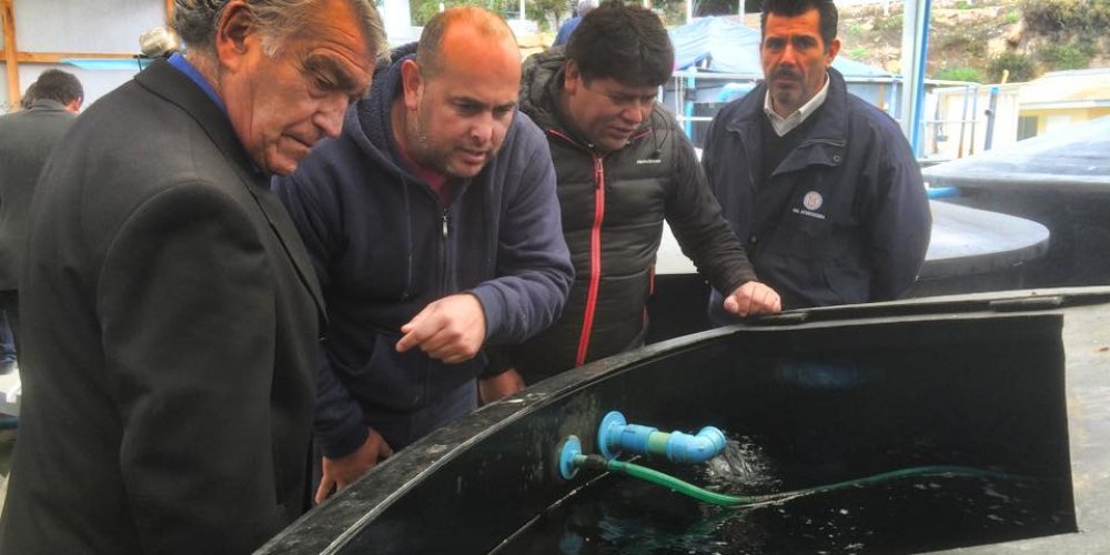 Inician convocatoria para potenciar desarrollo de la acuicultura en la región