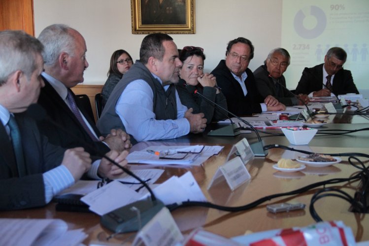 CORE refuerza acuerdo para solicitar al Estado ser titular en denominación de origen del pisco