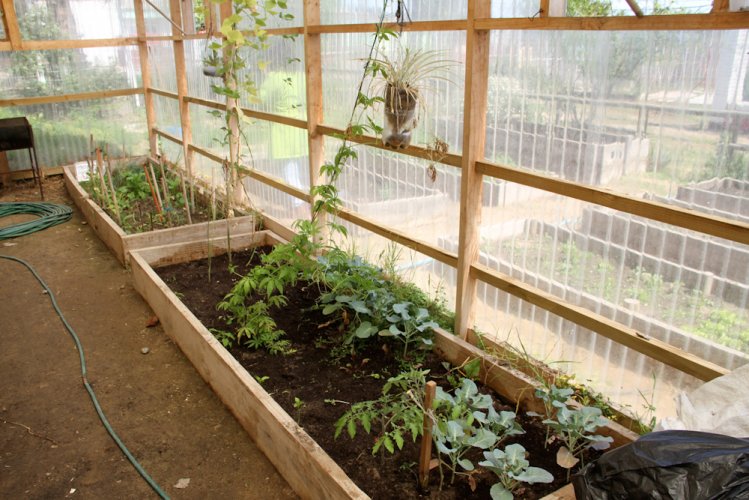 Campaña “3R que pueden cambiar el mundo” comienza con implementación de huerta comunitaria