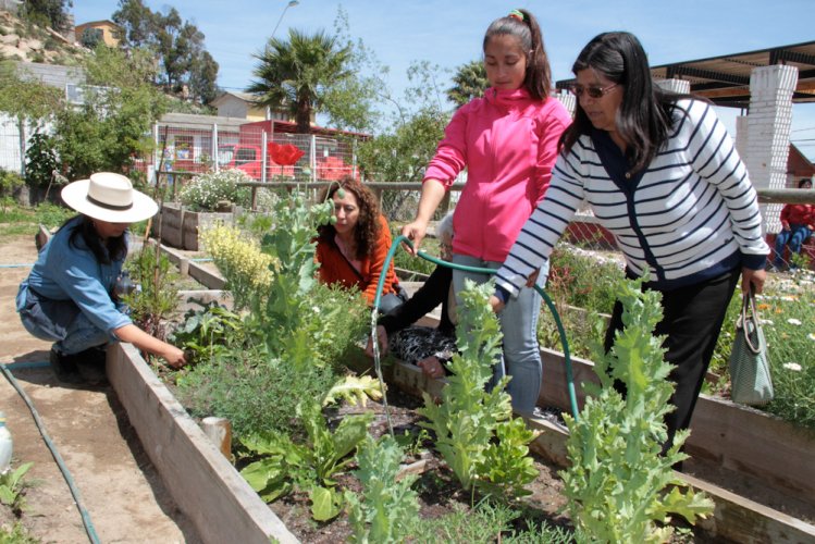 Campaña “3R que pueden cambiar el mundo” comienza con implementación de huerta comunitaria