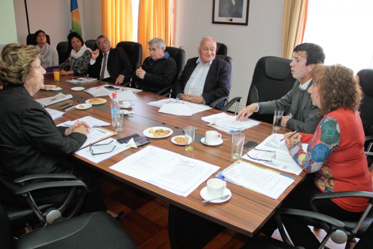 Consejo Regional define posición frente a la identificación de áreas de riegos de un territorio