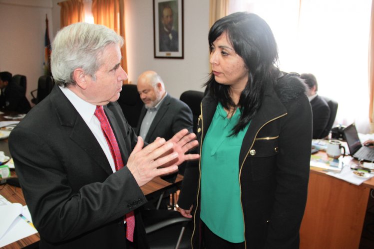 Comisión de Medio Ambiente del CORE evalúa avances del Plan de Descontaminación Atmosférica de Andacollo