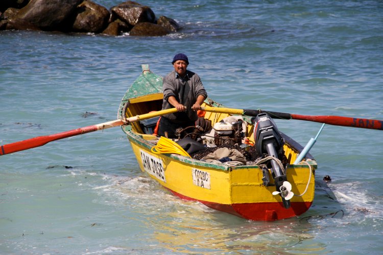 CORE se reúne con pescadores de caleta “El Apolillado” de La Higuera para informar sobre millonario plan de inversión