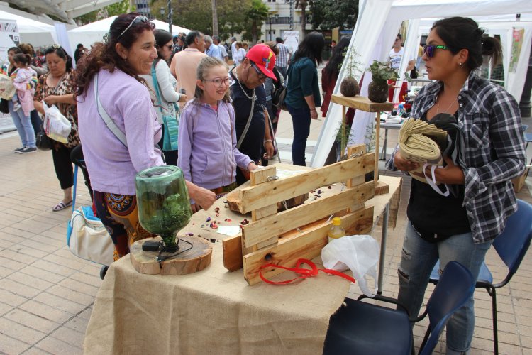 Porteños emprenden con la reutilización de residuos en campaña financiada por el Gobierno Regional