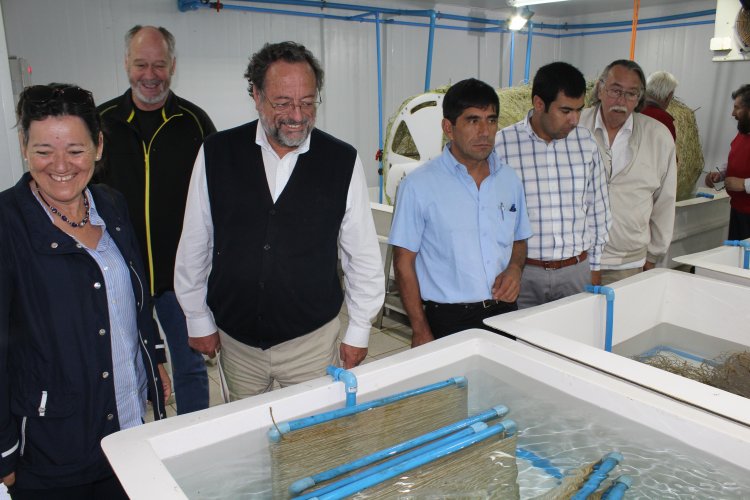 Comisión de Fomento Productivo del CORE recoge experiencia de trabajo con la pesca artesanal en la región de Los Lagos