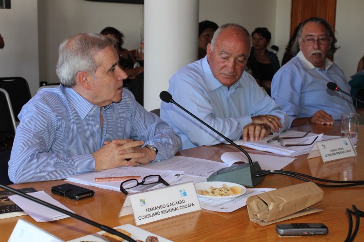 CORE se reunirá con ministra de Minería para definir un plan de trabajo permanente para la pequeña minería regional