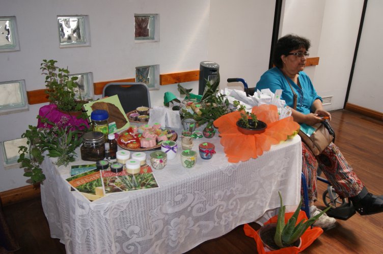 90 usuarios del CESFAM Cardenal Caro se benefician con proyecto de medicina integrativa financiado por el CORE