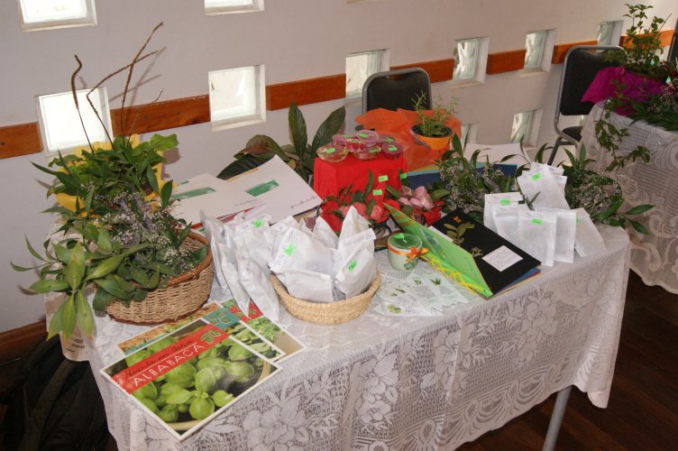 90 usuarios del CESFAM Cardenal Caro se benefician con proyecto de medicina integrativa financiado por el CORE