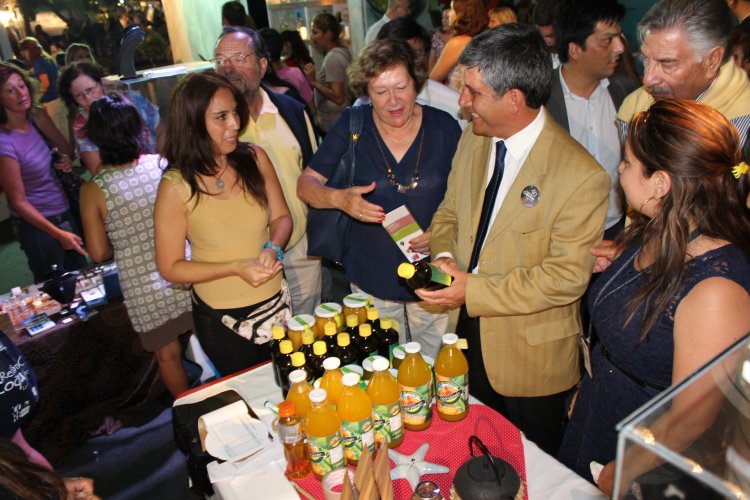 Fiesta del Sol 2016 se posiciona como una potente vitrina para la región de Coquimbo