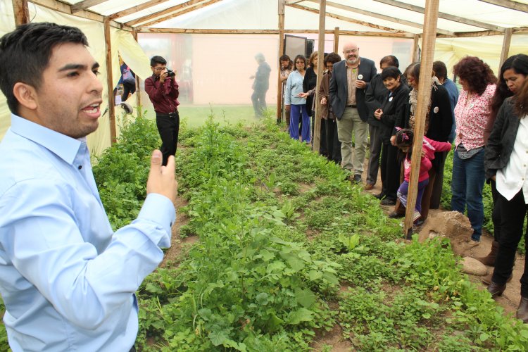 Vecinos de Las Compañías se involucran con el reciclaje y crean su propia huerta con materiales reutilizados