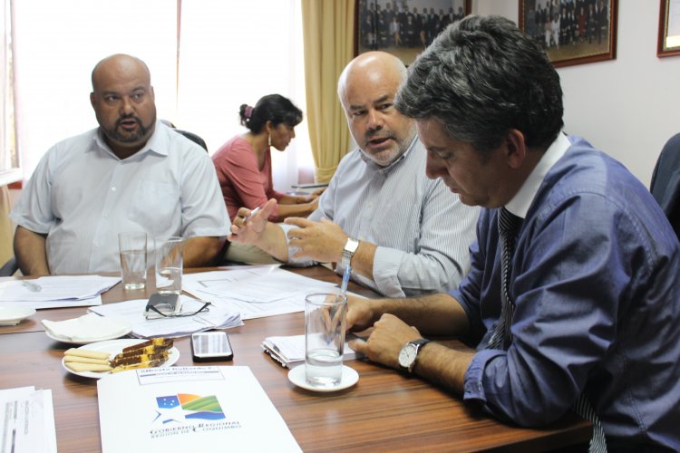 CORE e Intendente Ibáñez se comprometen a trabajar en la creación de una Política Regional de Deporte