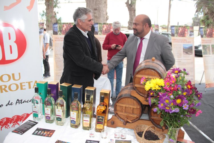 La Región de Atacama fue epicentro de las celebraciones del día Nacional del Pisco