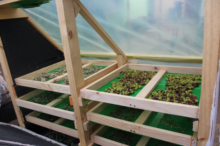 Mujeres emprendedoras concluyen proyecto de secadores solares financiados con fondos del GORE