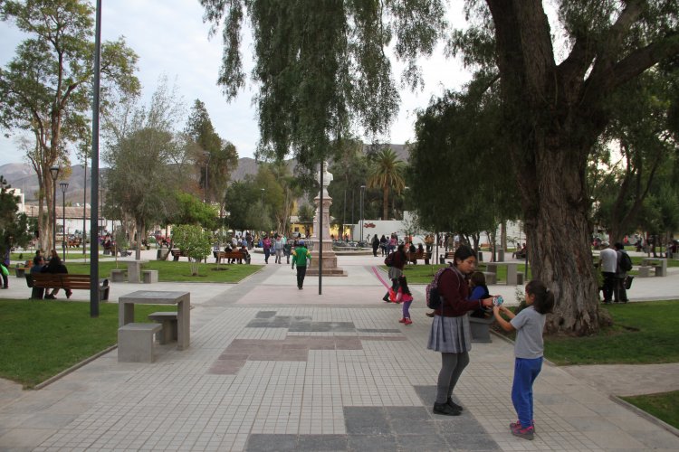 CORE aprueba recursos para que Vicuña cuente con más de 6.500 nuevos contenedores de basura