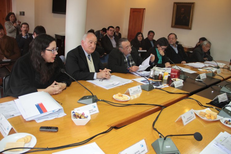 Macarena Matas Picart nueva consejera regional por el Choapa se integra al CORE