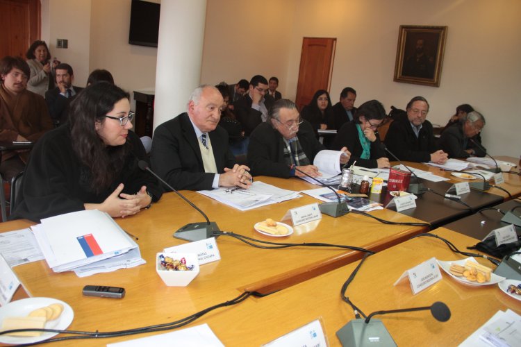 Macarena Matas asume como nueva consejera regional y se integra formalmente al CORE