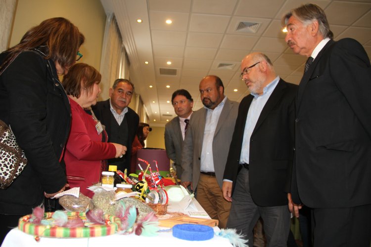 Emprendedores locales recibieron $400 millones gracias a programa del FOSIS y Gobierno Regional