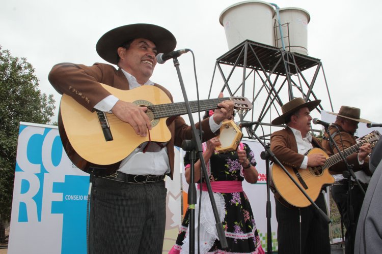 Fin a 30 años sin luz: inauguran en El Romeral proyecto de electrificación del Gobierno Regional
