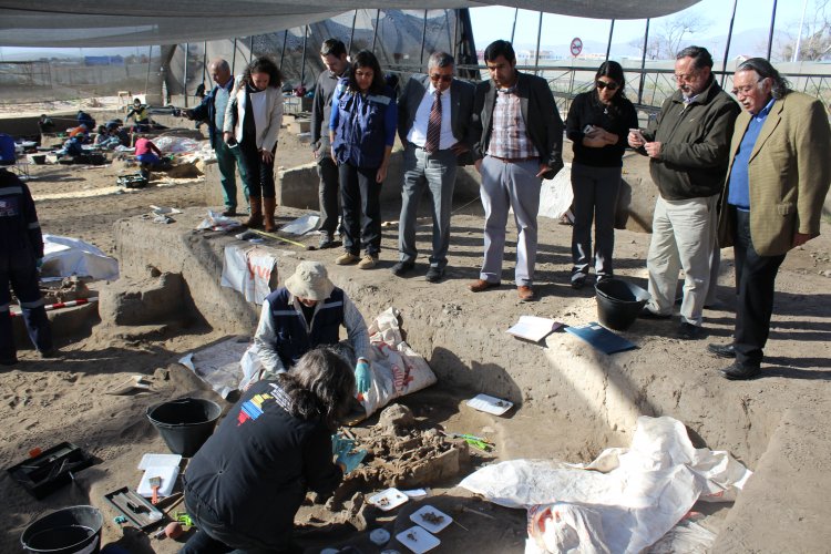 CORE manifiesta su preocupación por resguardar sitio El Olivar y exige conservar en la región restos arqueológicos