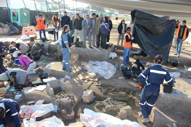 CORE manifiesta su preocupación por resguardar sitio El Olivar y exige conservar en la región restos arqueológicos