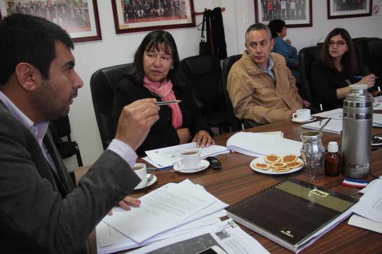 CORE manifiesta su preocupación por resguardar sitio El Olivar y exige conservar en la región restos arqueológicos