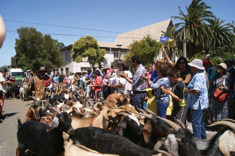 Gobierno Regional y Gobierno de San Juan inician negociaciones para la realización de las veranadas 2016-2017