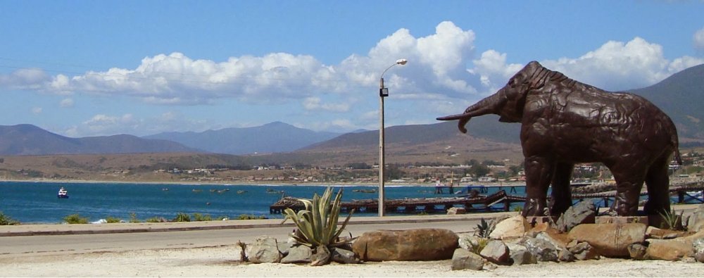 Cuenta Pública 2016 del CORE se realizará en la comuna de Los Vilos