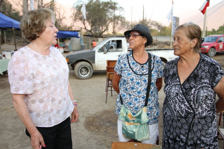 En Vicuña se realiza fiesta costumbrista que rescata la identidad local