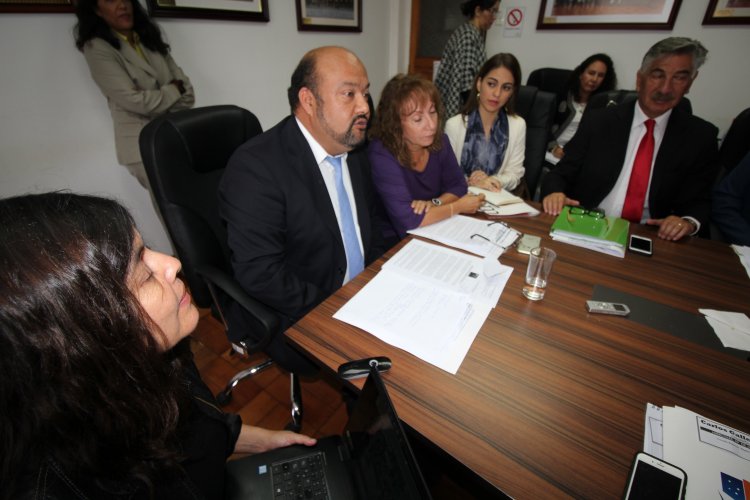 Consejo Regional busca acercar posiciones para resguardar patrimonio arqueológico de El Olivar