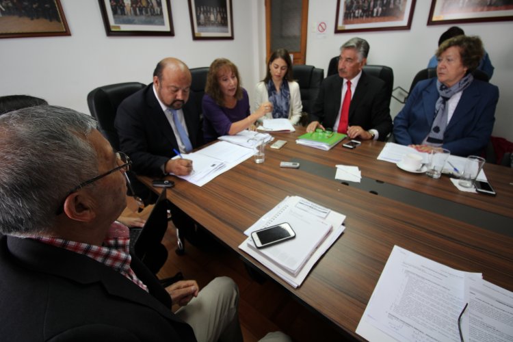 Consejo Regional busca acercar posiciones para resguardar patrimonio arqueológico de El Olivar