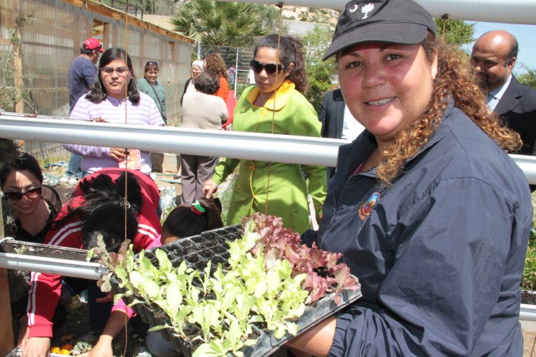 Gobierno Regional invita a participar del nuevo fondo concursable para la protección del medio ambiente