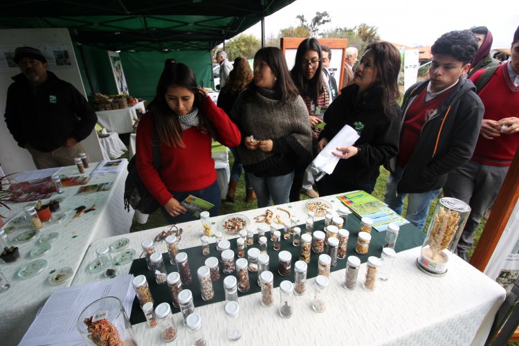 Cores evaluan positivamente gestión del INIA-Intihuasi en Jornada de Puertas abiertas