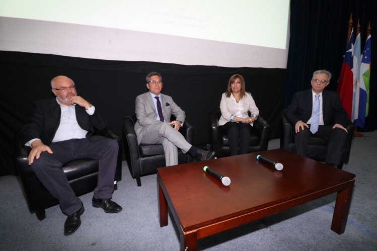 Equipos de Chile y Argentina abordan los alcances del Túnel de Agua Negra