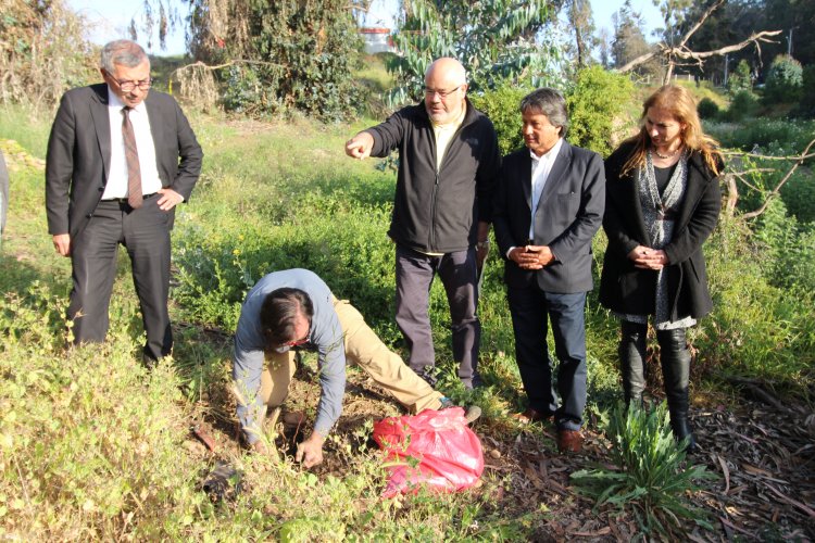 Deportistas de parque Cendyr inician proyecto de recuperación de flora nativa y reforestación