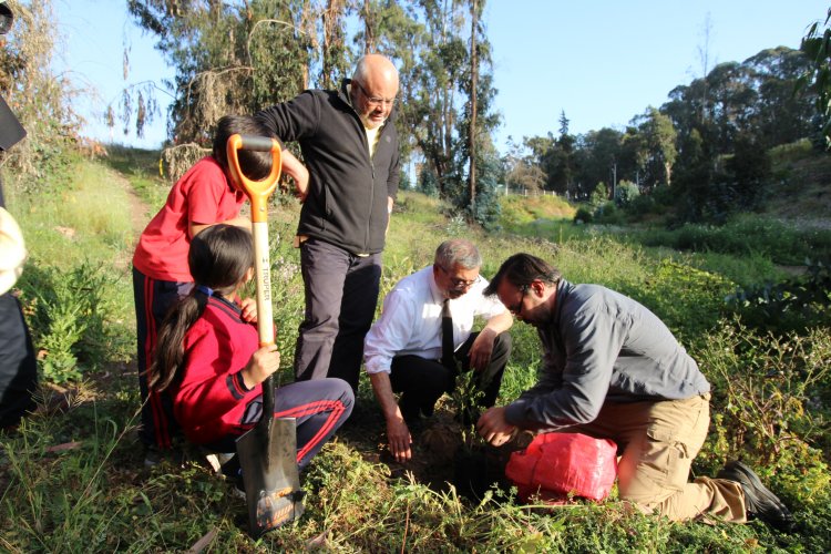 Deportistas de parque Cendyr inician proyecto de recuperación de flora nativa y reforestación