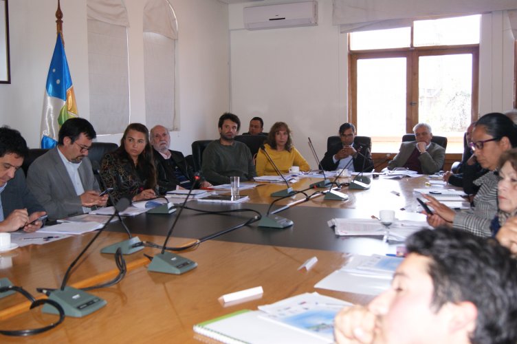 Comité de gestión de Reserva de la Biósfera Fray Jorge sanciona reglamento de funcionamiento y define plan de acción