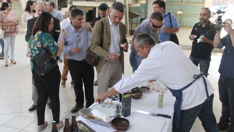 Ostión regional inicia su camino para obtener sello de origen