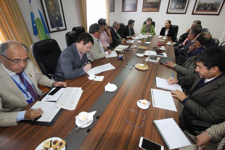 Intendenta y consejeros regionales coordinarán trabajo conjunto para priorizar las necesidades de la región
