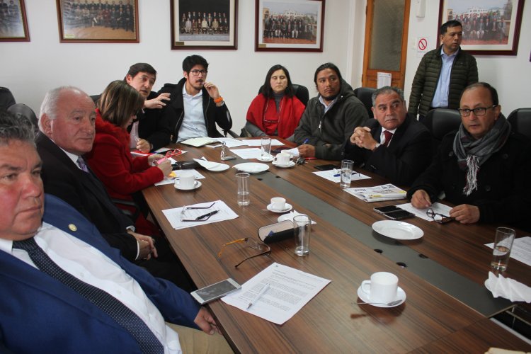 CORE y Consejo Consultivo de Medio Ambiente trabajarán propuesta ambiental regional