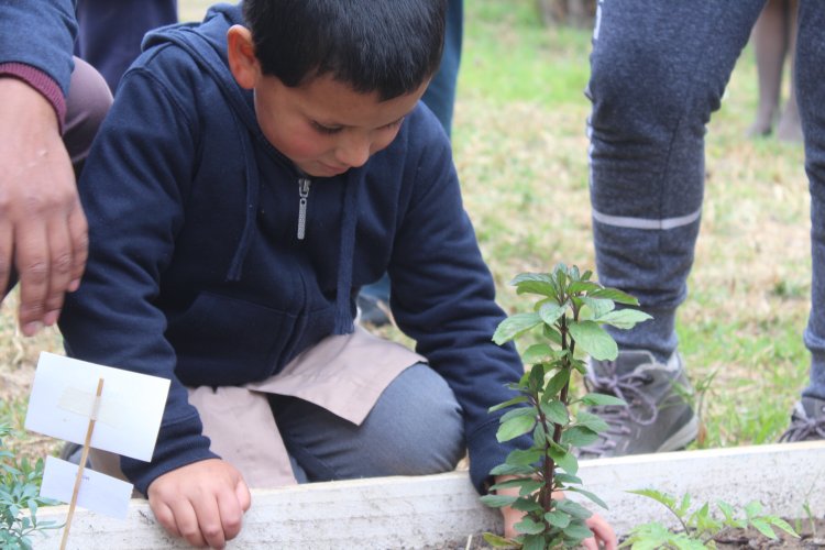 Niños y niñas del Colegio Luis Braille implementan huerto orgánico para ayudar al medio ambiente