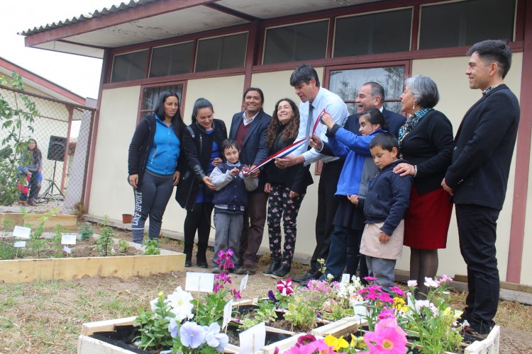 Niños y niñas del Colegio Luis Braille implementan huerto orgánico para ayudar al medio ambiente