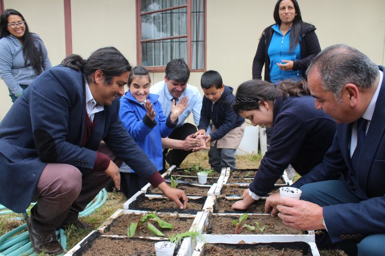Niños y niñas del Colegio Luis Braille implementan huerto orgánico para ayudar al medio ambiente