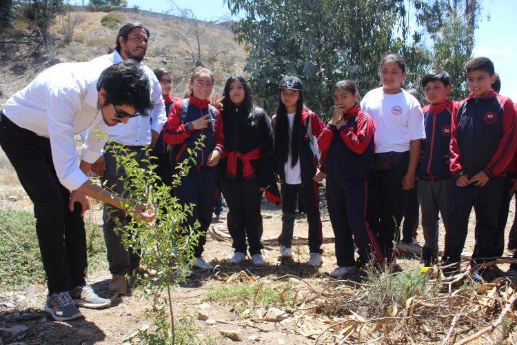 Implementan taller educativo sobre reforestación de plantas nativas en el Cendyr de La Serena