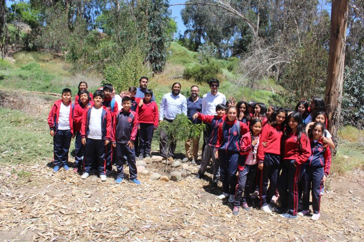Implementan taller educativo sobre reforestación de plantas nativas en el Cendyr de La Serena