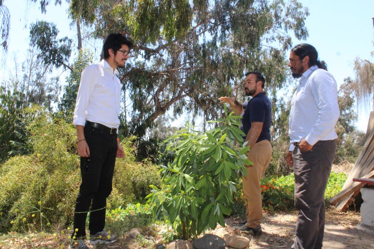 Implementan taller educativo sobre reforestación de plantas nativas en el Cendyr de La Serena