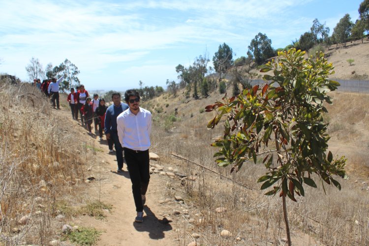 Implementan taller educativo sobre reforestación de plantas nativas en el Cendyr de La Serena