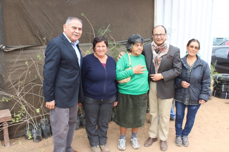 A través de innovador proyecto buscan reforestar sectores de La Higuera donde se alimenta ganado caprino